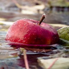 bajar-el-colesterol-manzana