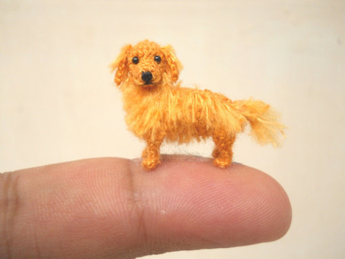 mini dogs 7