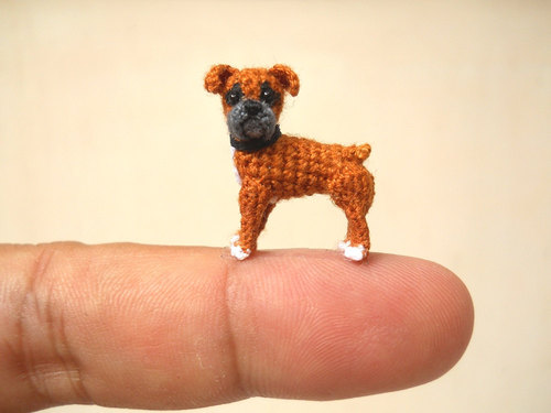 mini dogs 8