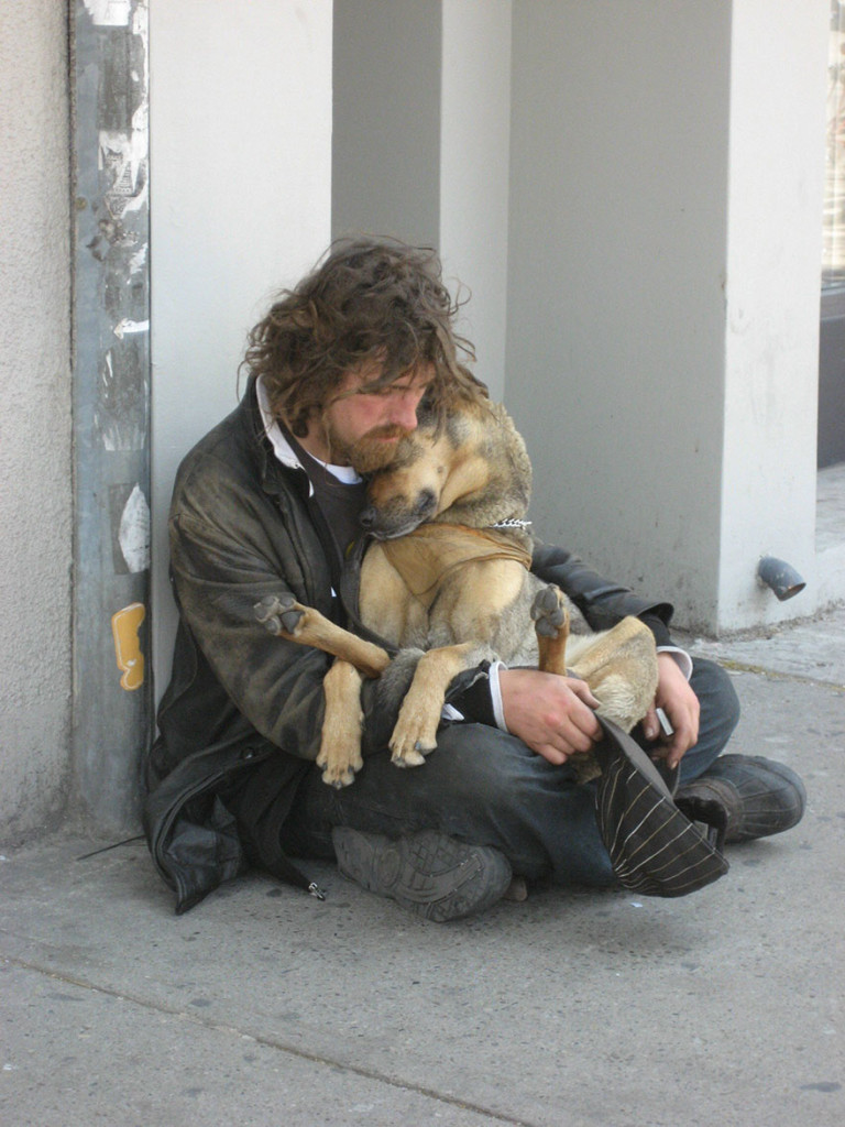 Perros de los Homeless