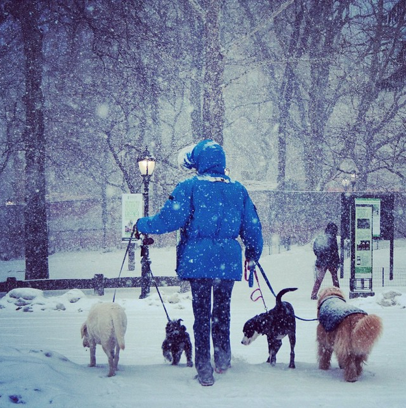 Las mejores fotos de la tormenta de nieve en Nueva York