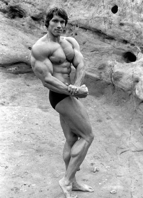 Arnold Schwarzenegger el Mr. Olympia que inició todo