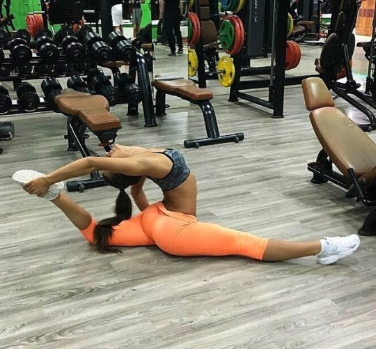 Motivación para el gimnasio con las mujeres más fit del gym
