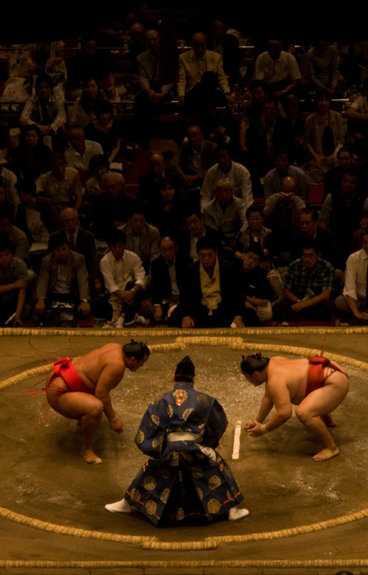 Sumo fight