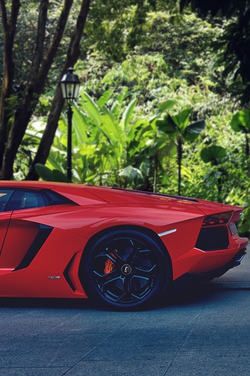 lambo rojo