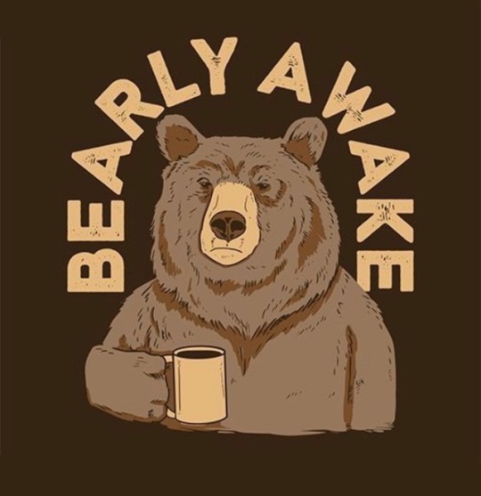 El oso del café