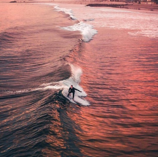 Surf