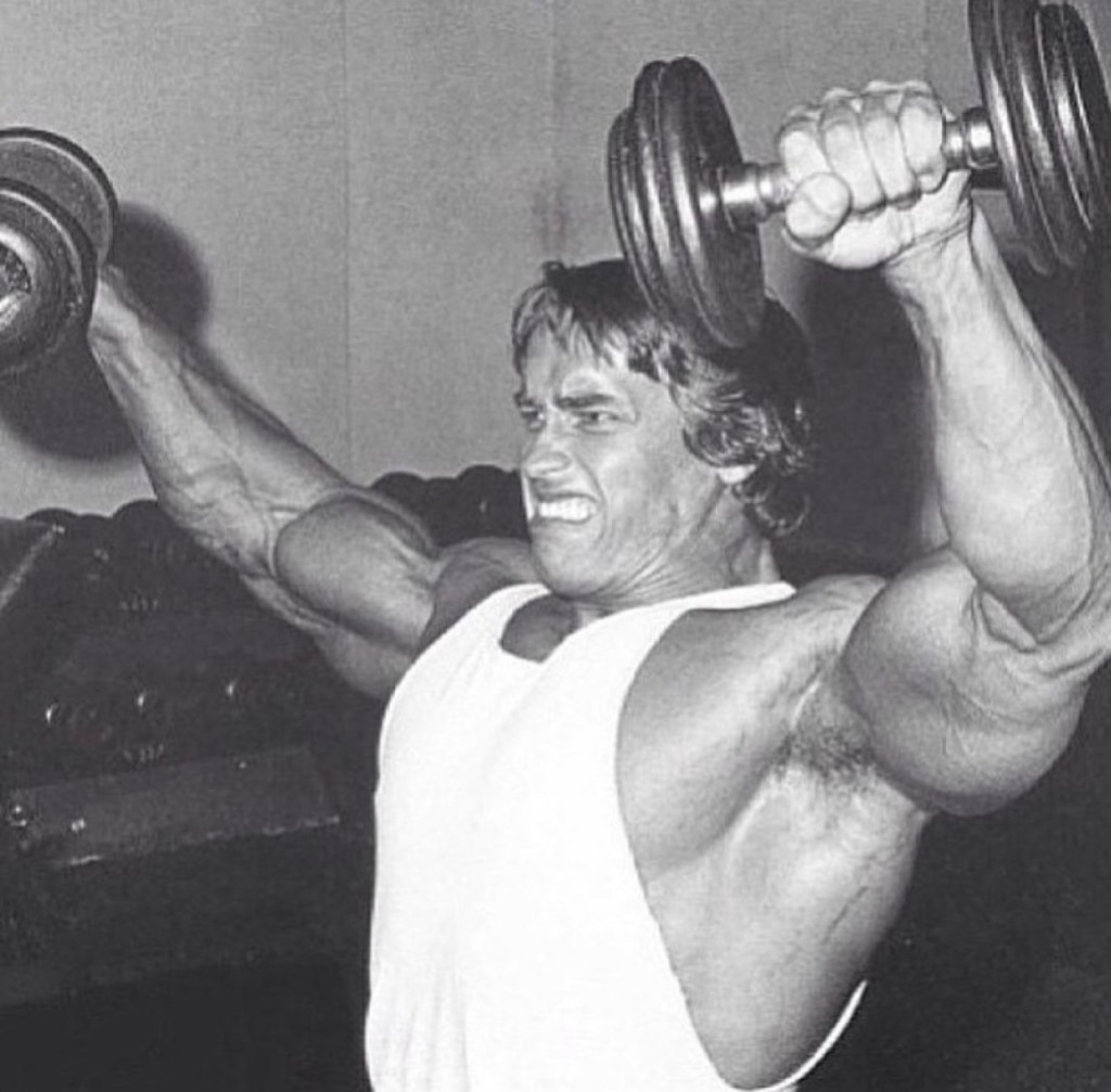 arnold 20 cine